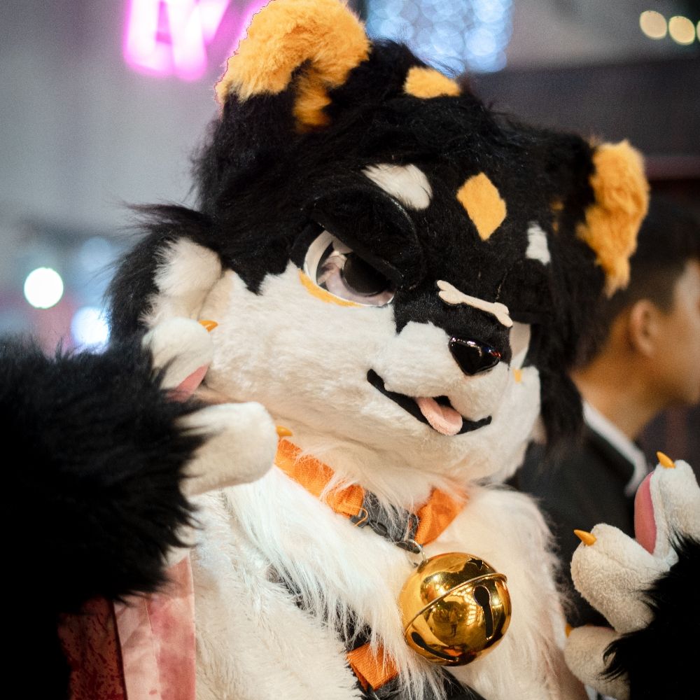 AkioTheFox