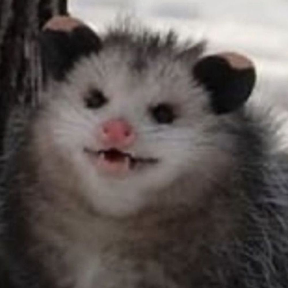 Baby Trash Opossum
