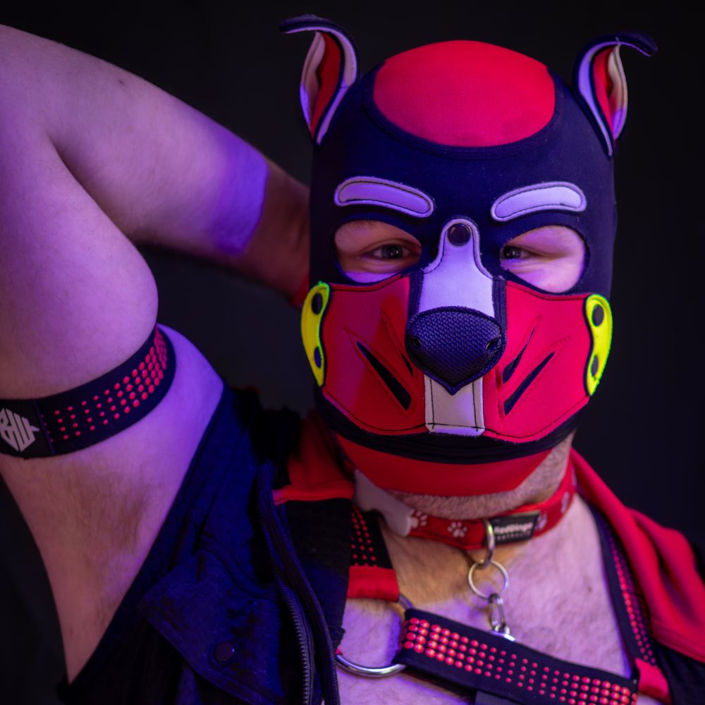 Pixel 🔜 Manc Furs August 🐶