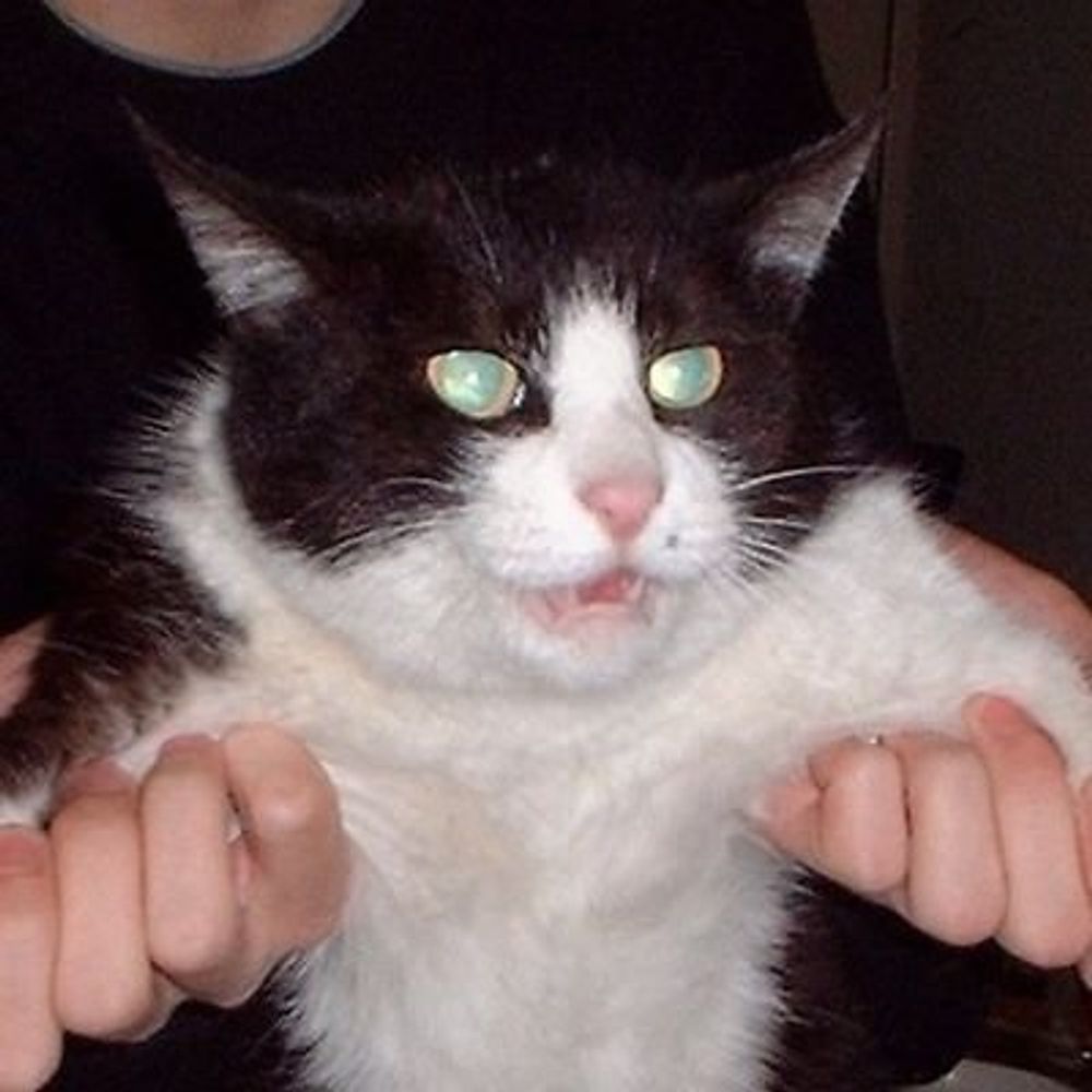 だいこもん