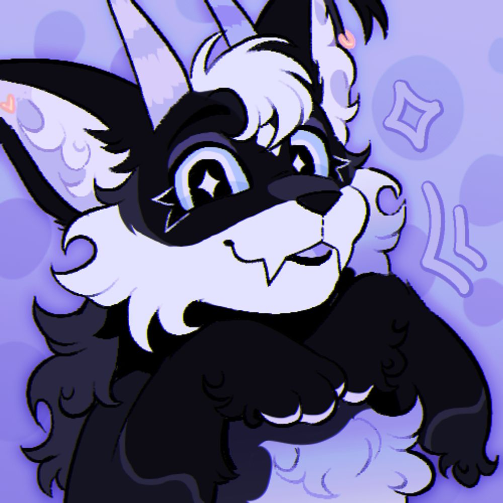 W0lfve  ✦˚.