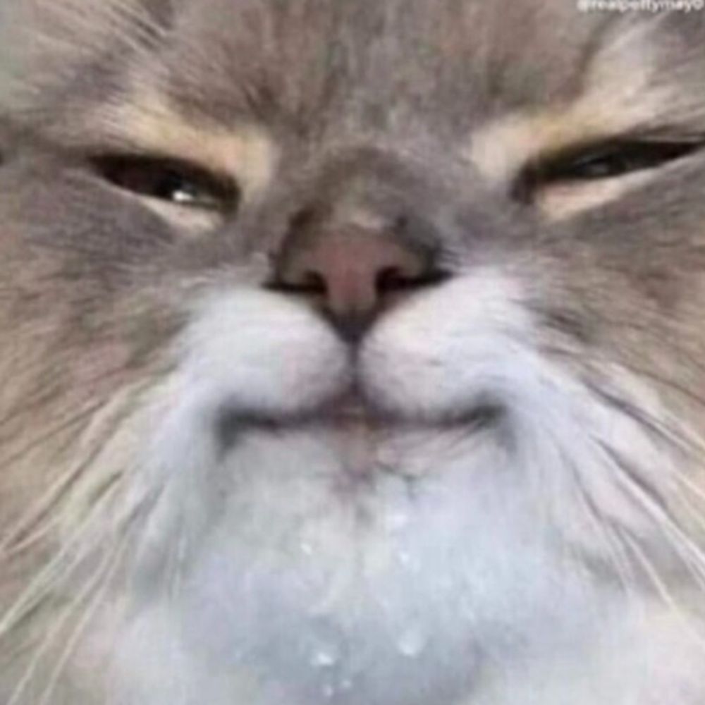 Vegward