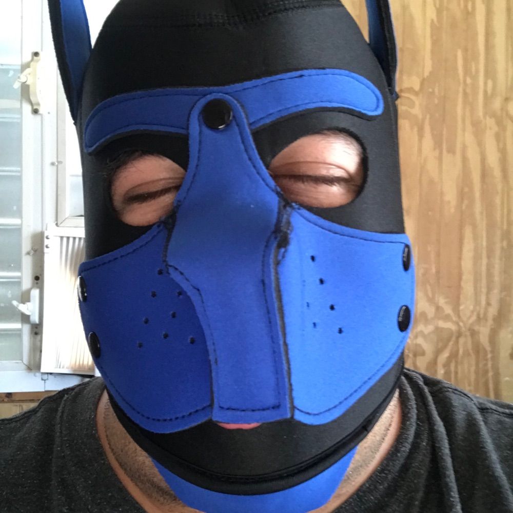 Pup JoJo