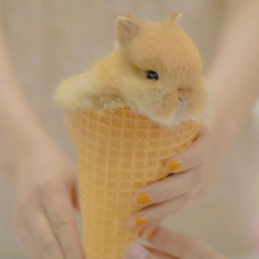 이응삼 커뮤계