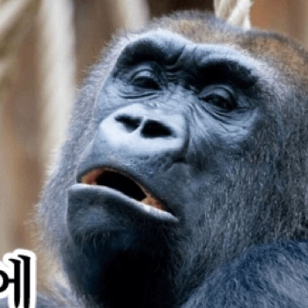 엄마쟤풀먹어