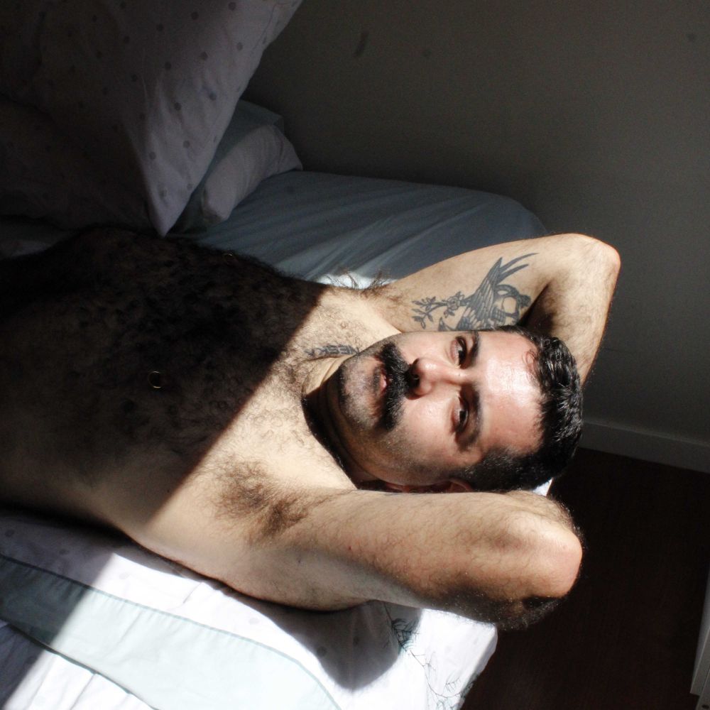Basque Bear 
