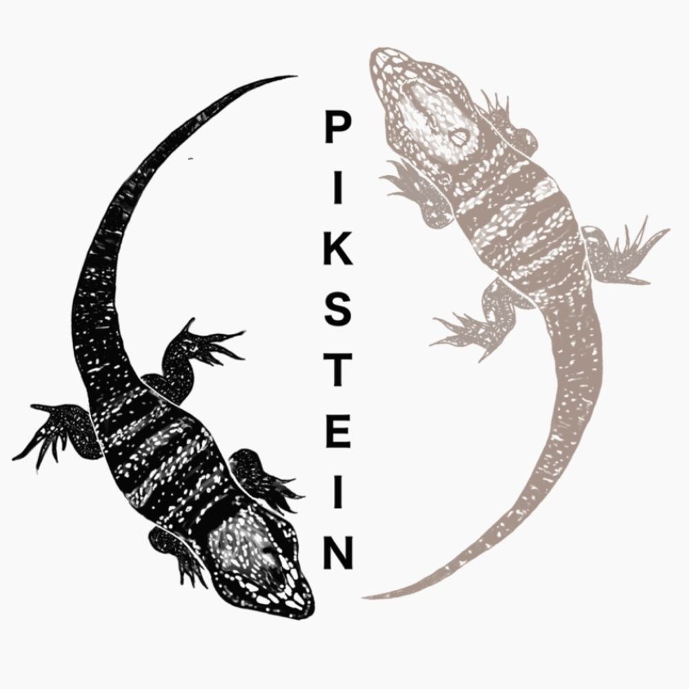 PiksteinLab🦎(Rachel Pikstein)