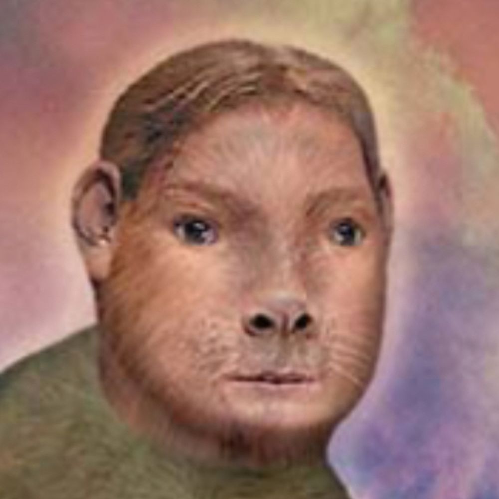 constantlychanging.bsky.social profile picture