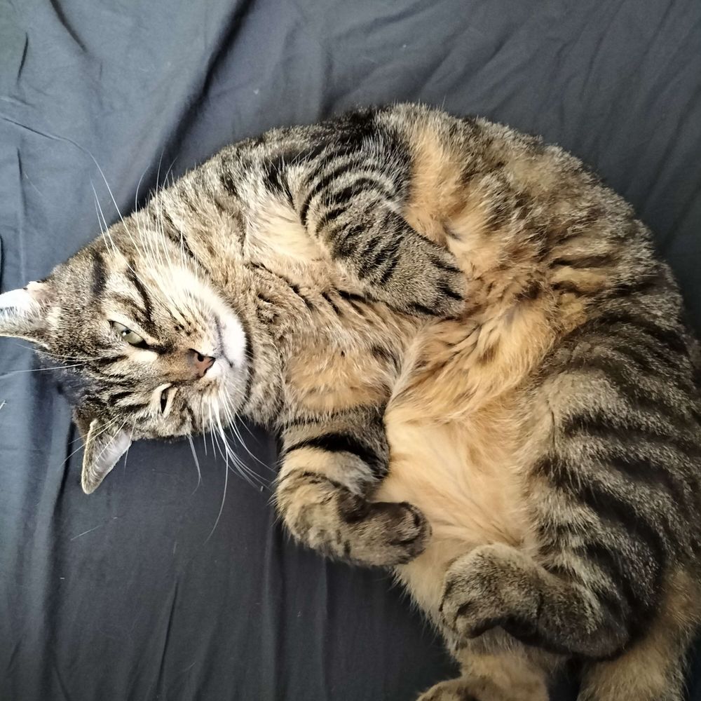 Coco