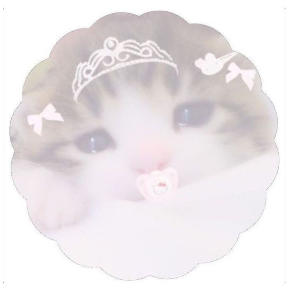 🍼 teté . . .૮꒰ ⑅  ˃  ˕  ˂ ꒱აAgere🐾