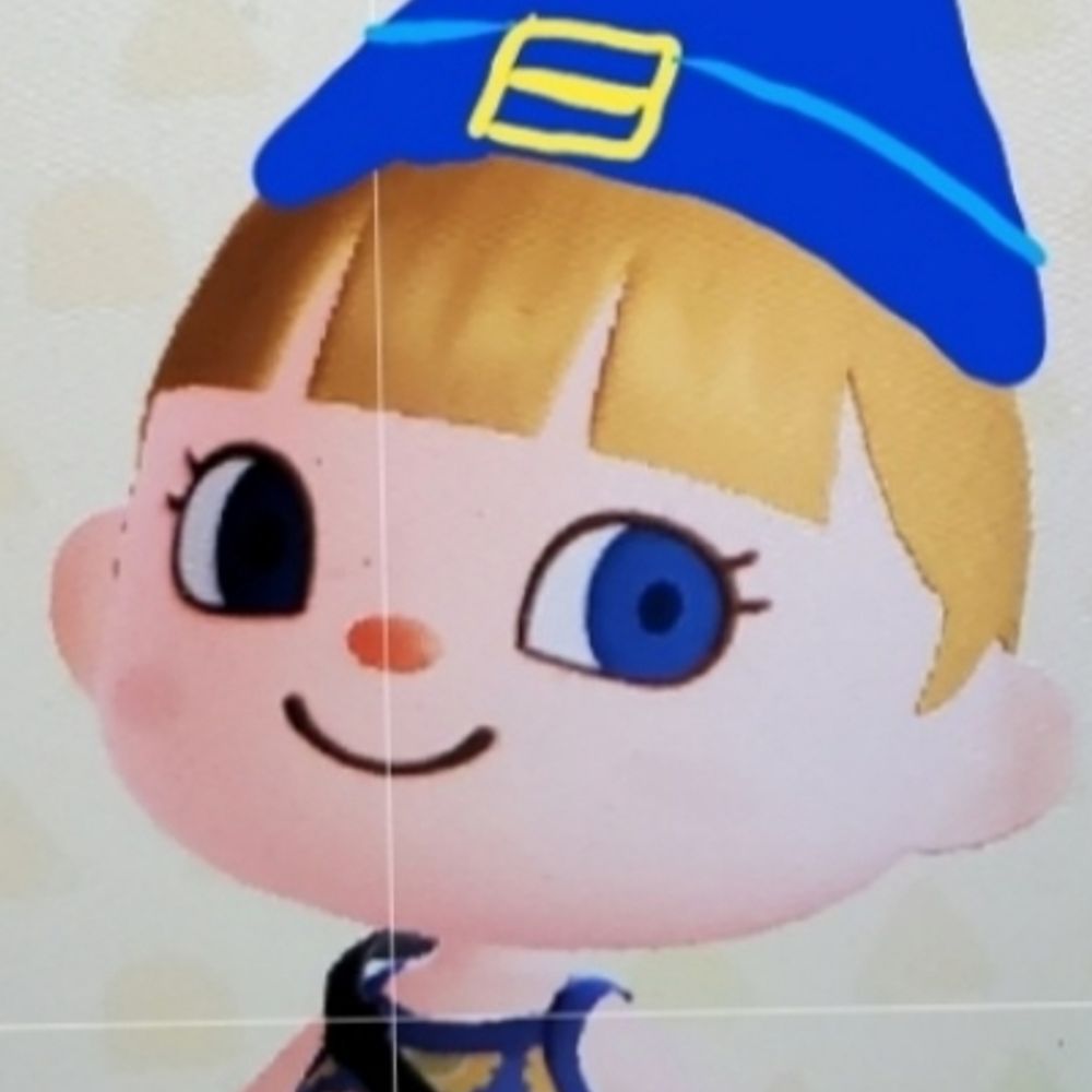 PocketShna