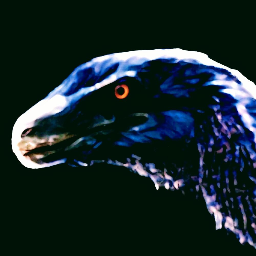 𝚁𝚊𝚙𝚝𝚘𝚛 𝚒𝚗 𝙱𝚕𝚊𝚌𝚔