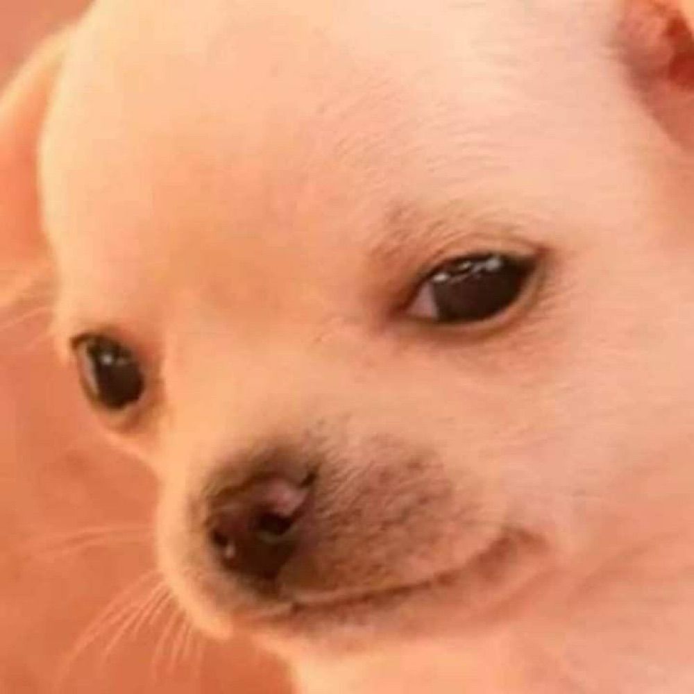 gyozadog