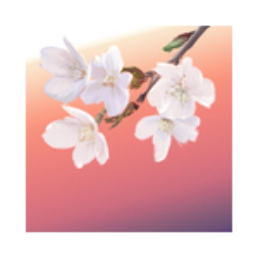 切身魚/Kirimisakana