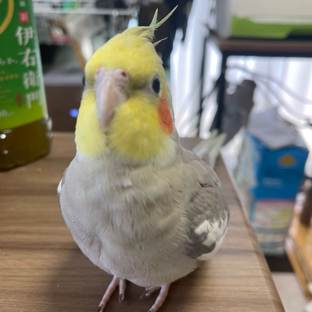 三休め〜ん