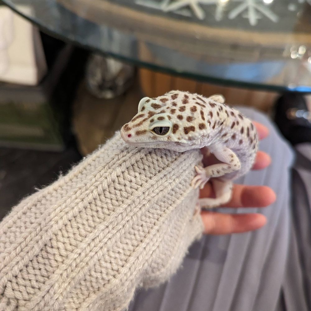 な