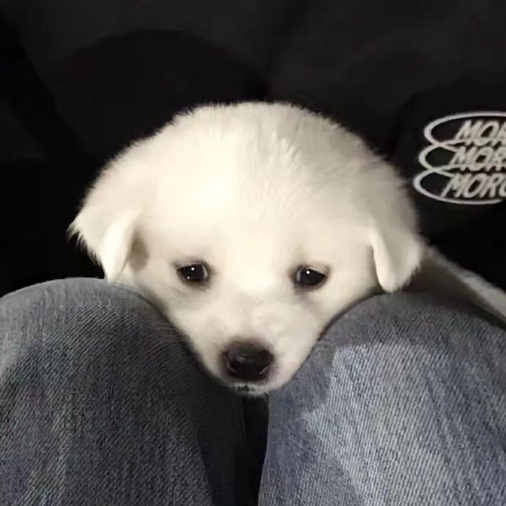 Uuu
