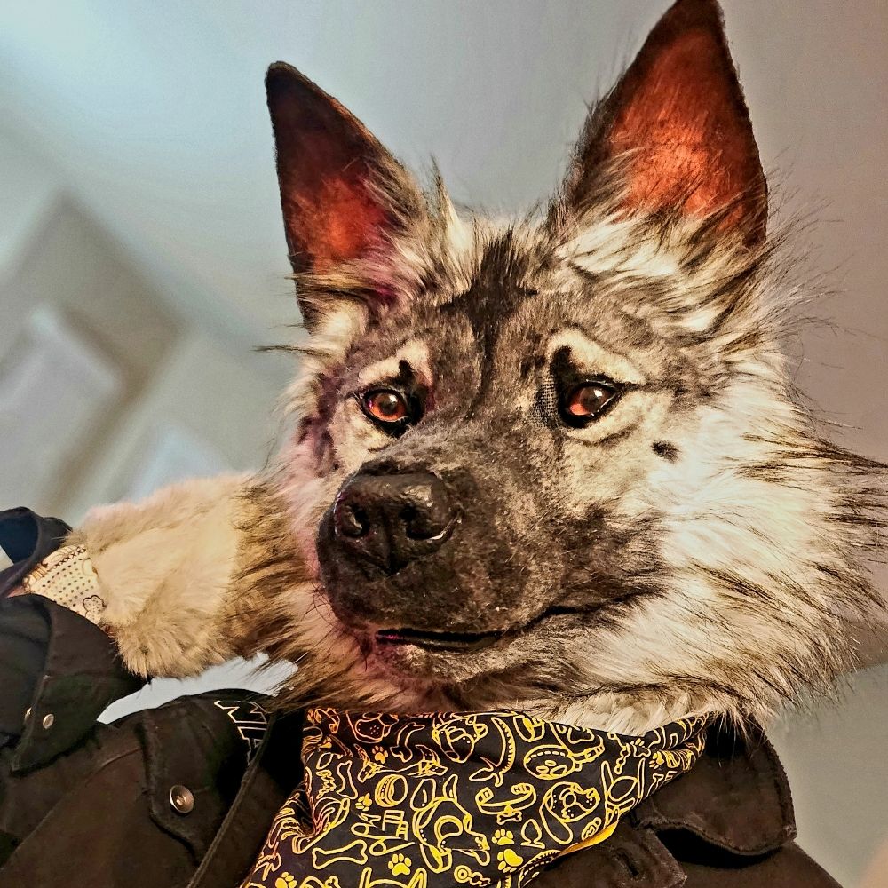 Anax Shep