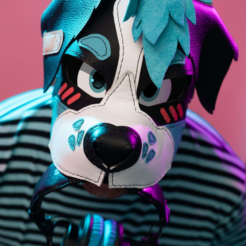 Pup Shuvit 🛹🐶