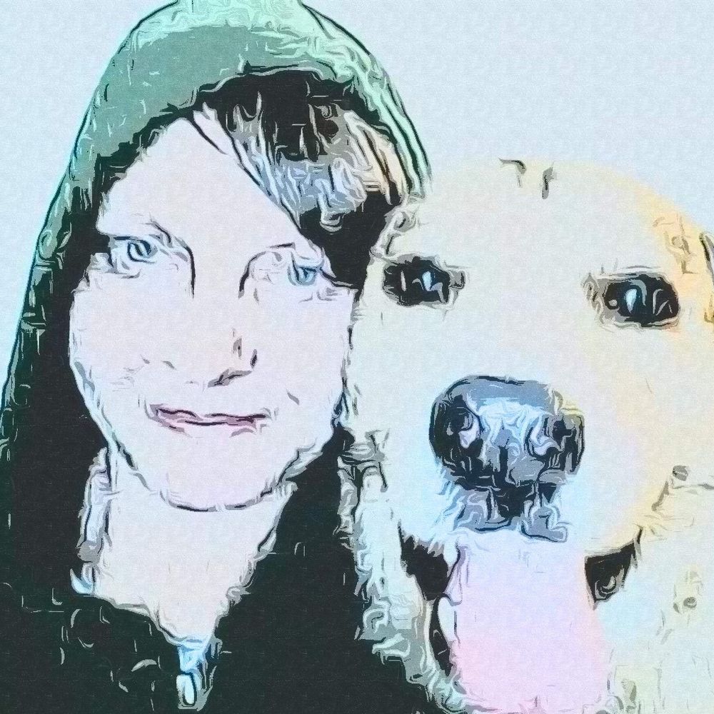 truthjoylove.bsky.social profile picture