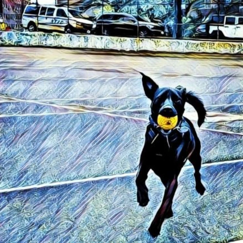 Pat