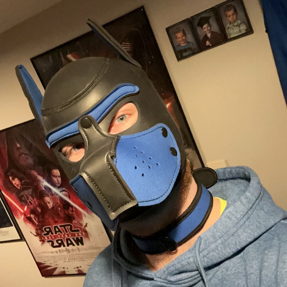 Pup Rex(y)