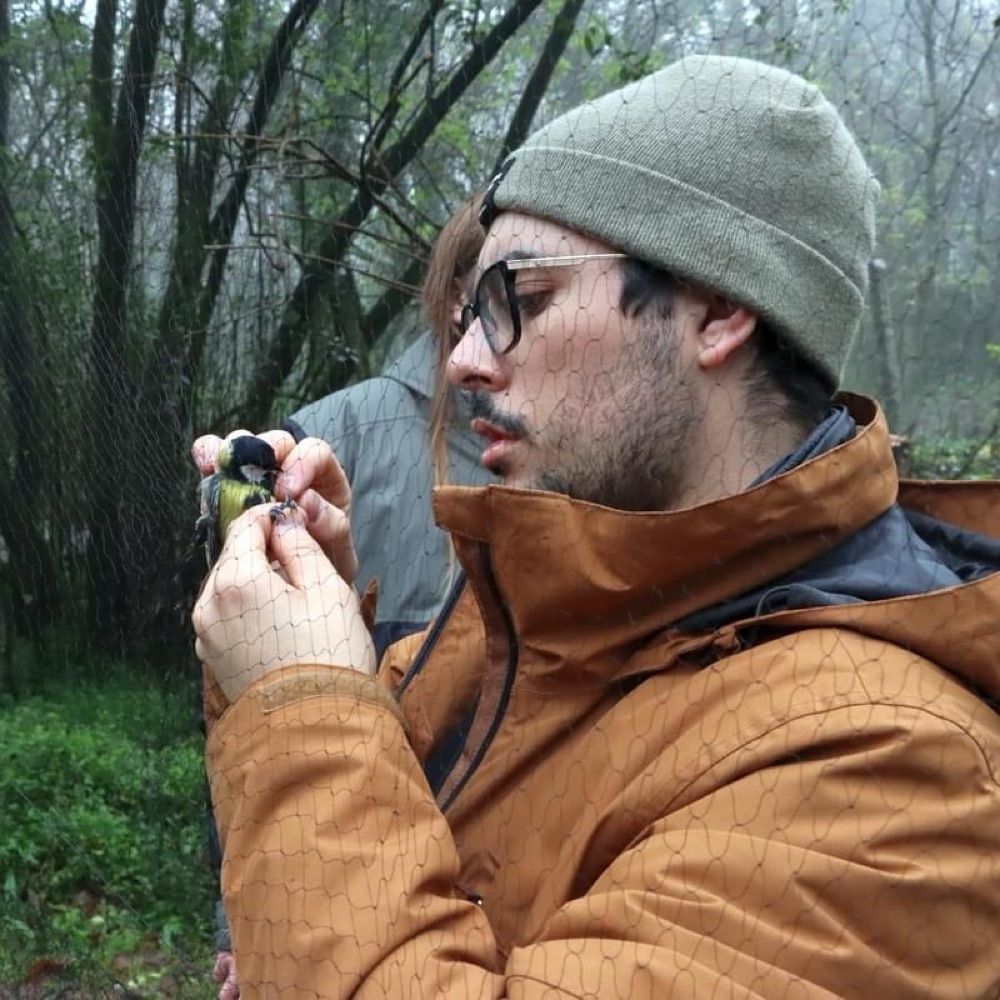 Gonçalo Ferraz