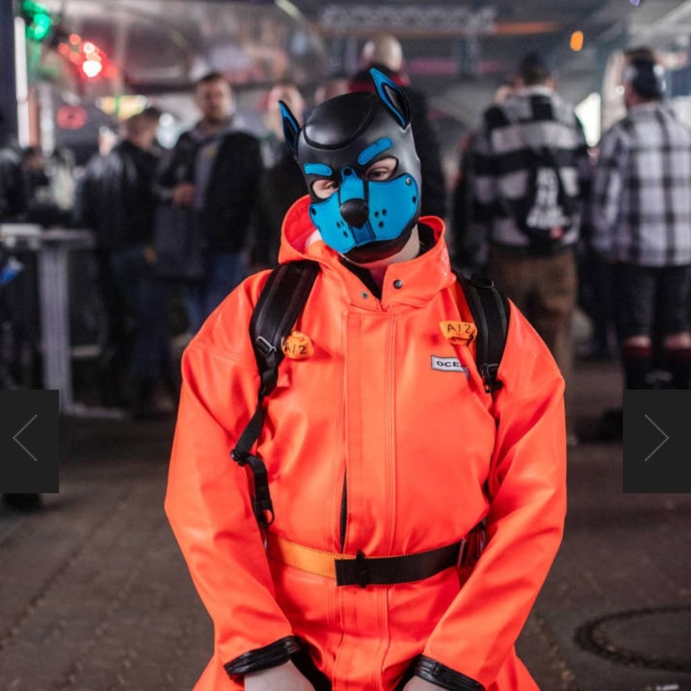 GearPupÆgis