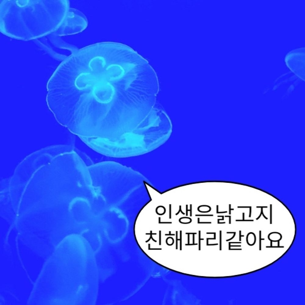 날해