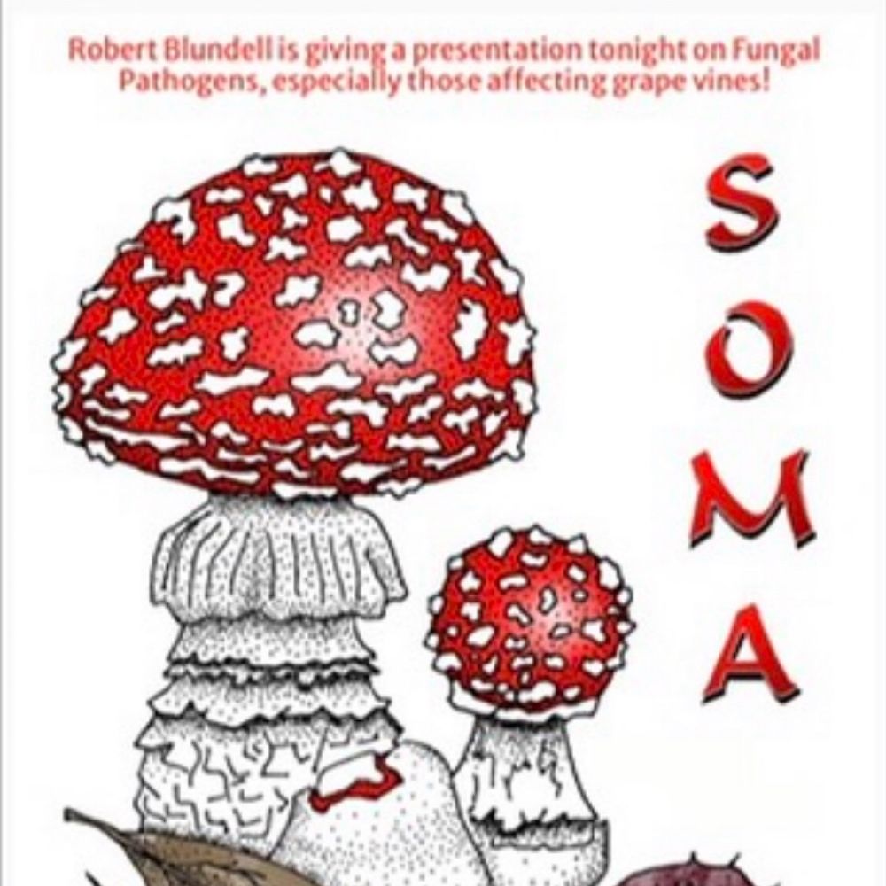 Sonoma County Mycological Association