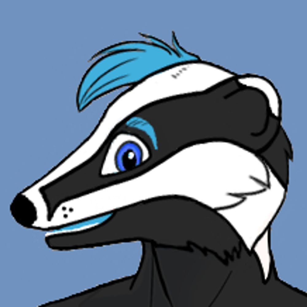 Flash Badger