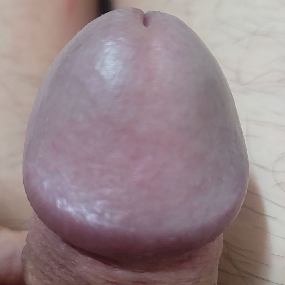 냥이주인임