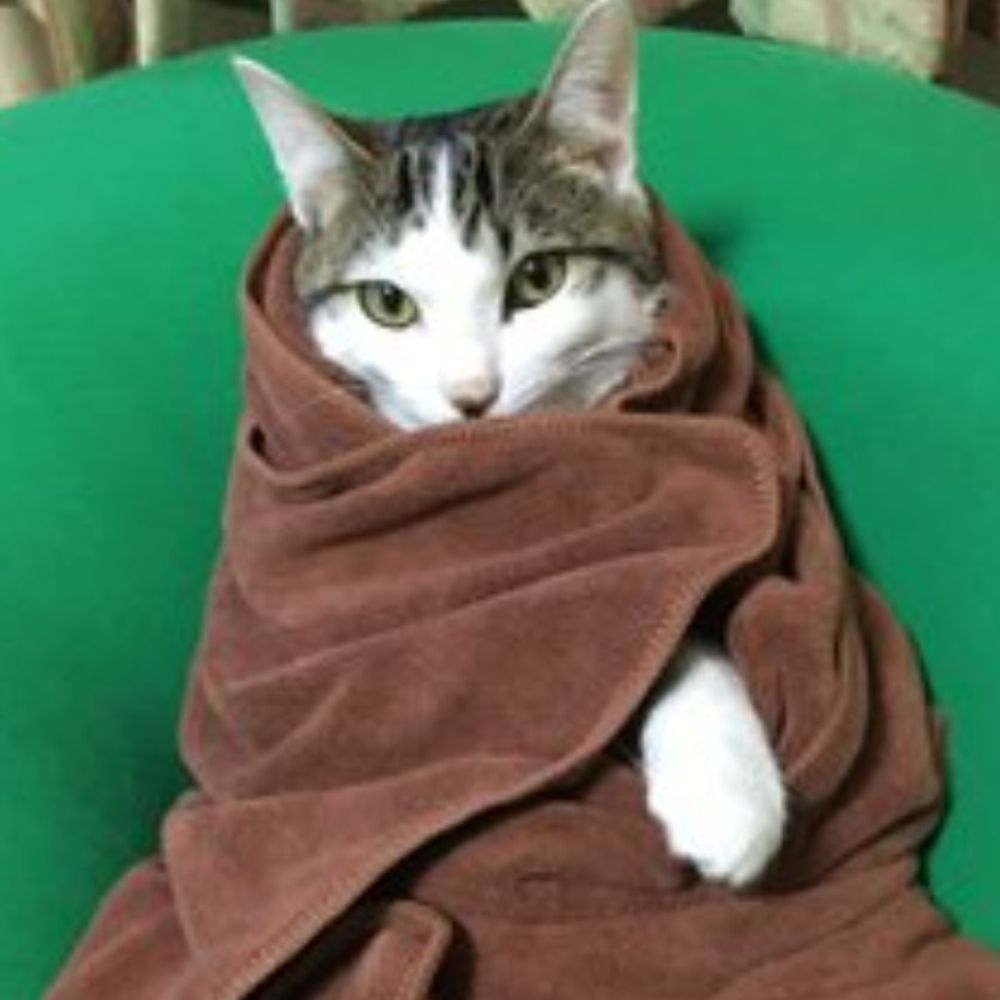 ゆにおん