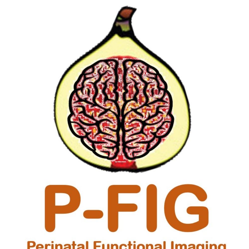 King's Perinatal Functional Imaging Group, Tomoki Arichi
