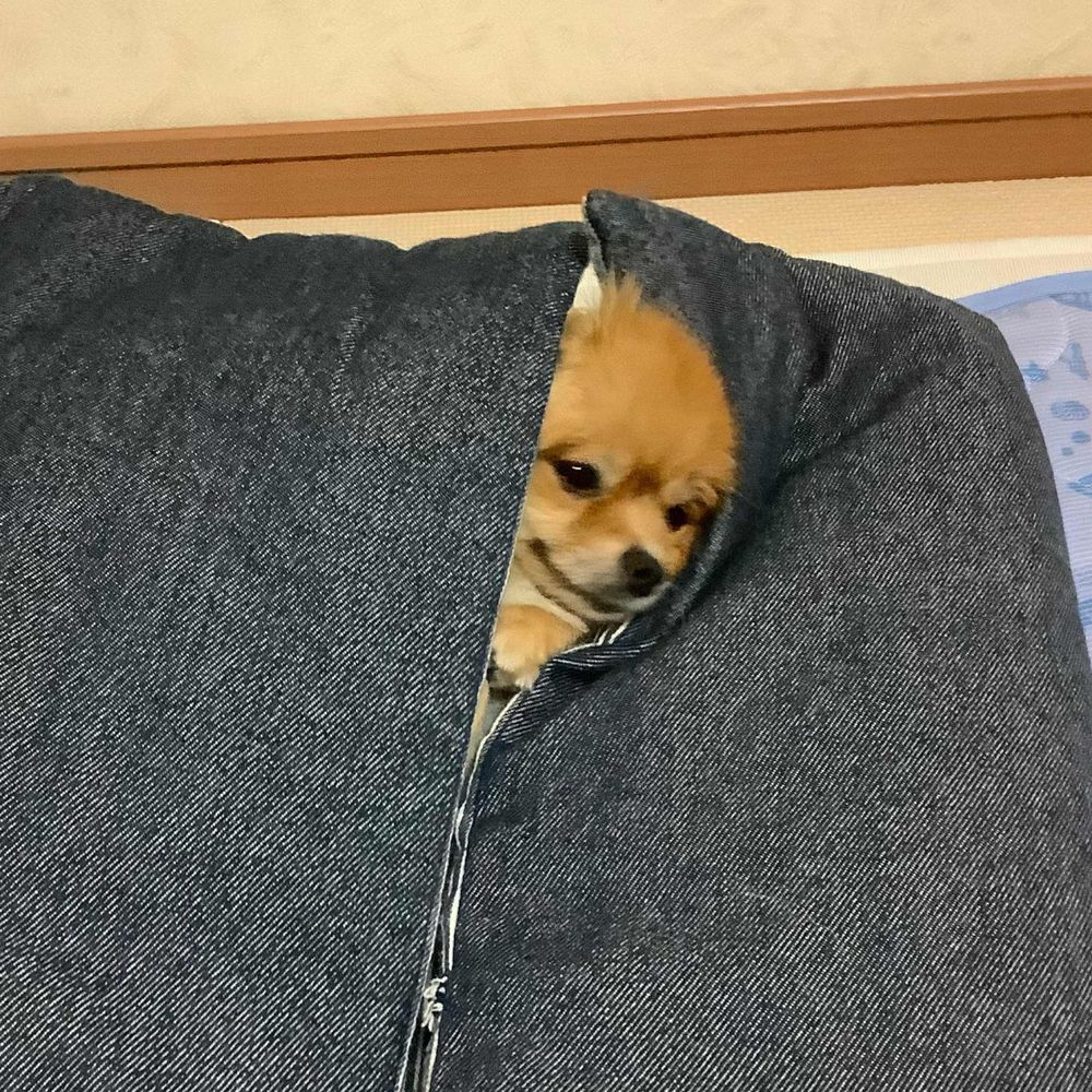 おおつか
