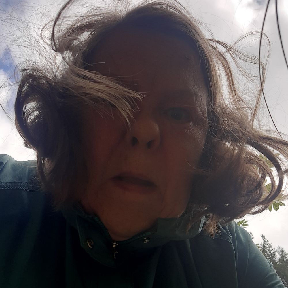 Leena Lindroos