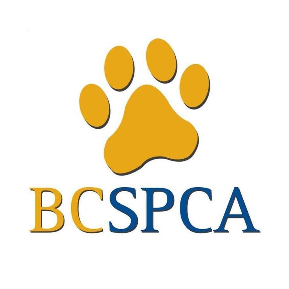 BC SPCA 