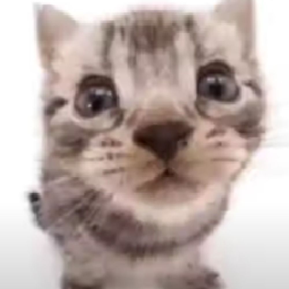 XxdartmonkexX 