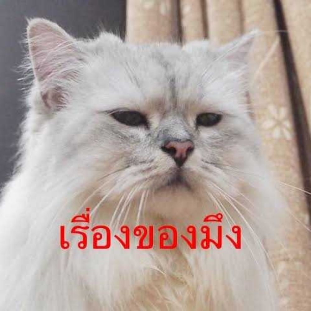 404notme