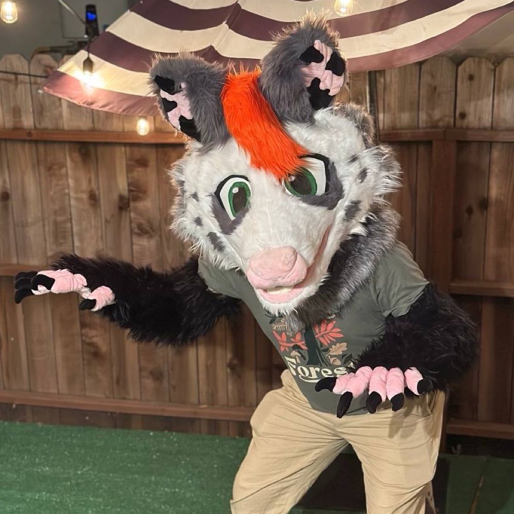 Patch Opossum🎃