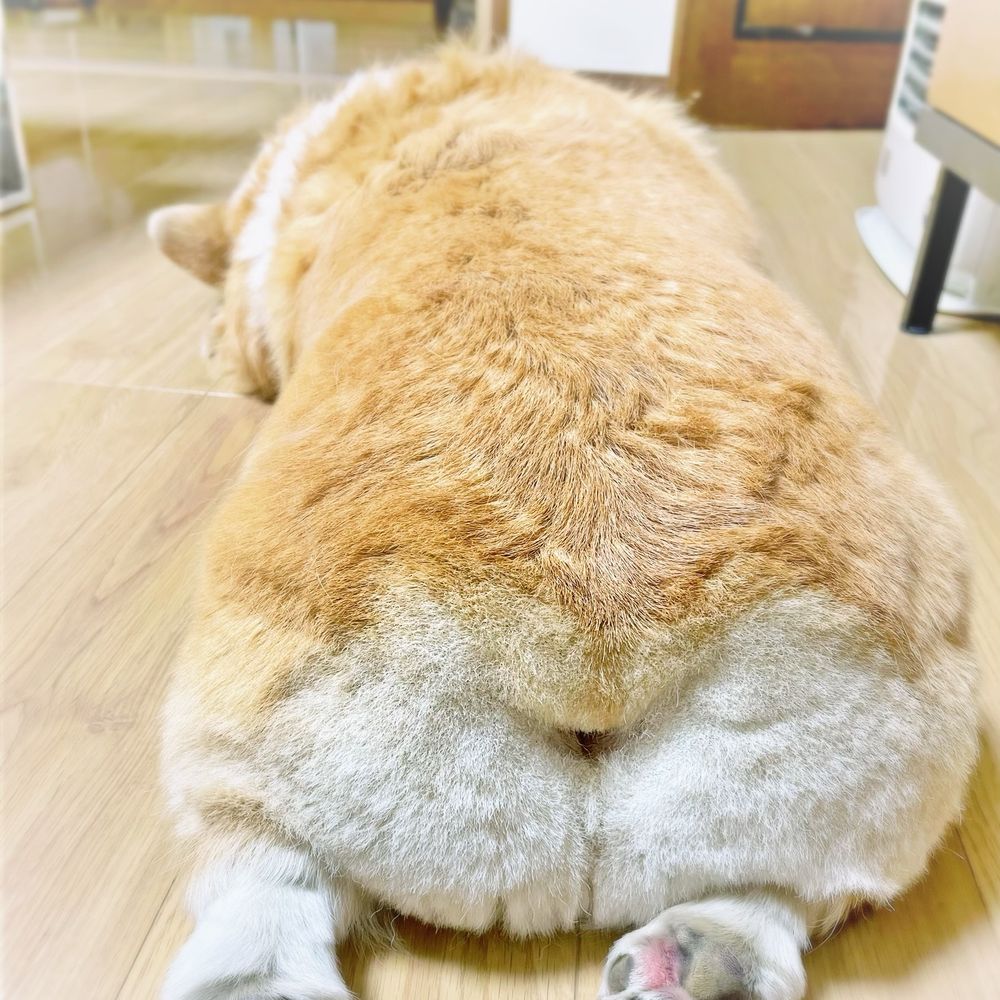 さっつ