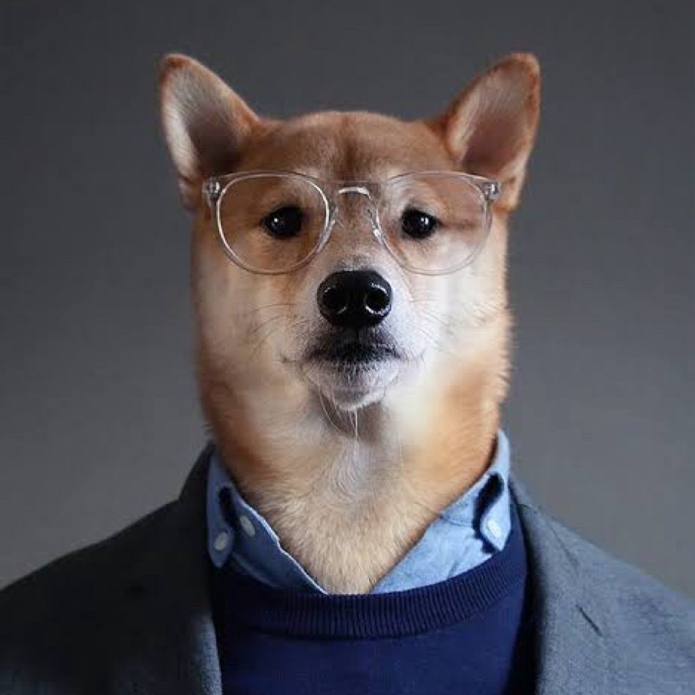 犬大爆発