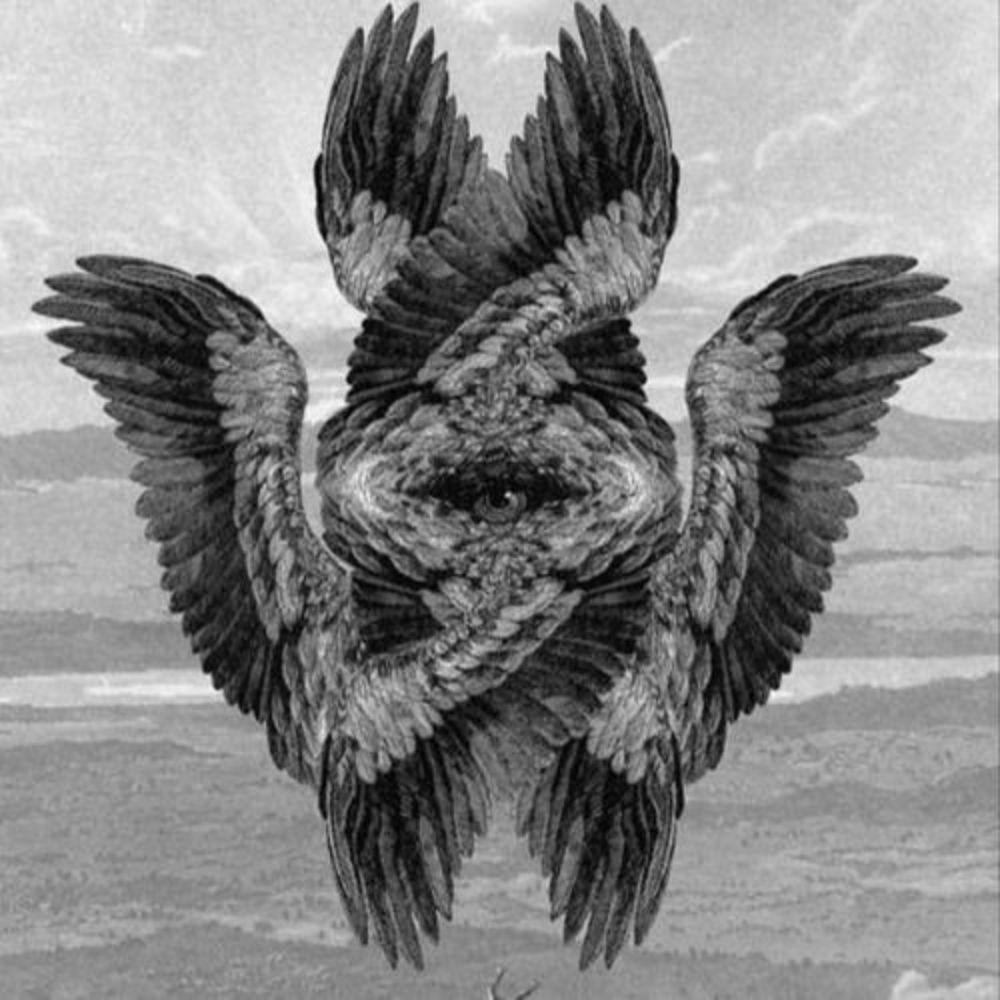 SeraphimDivine