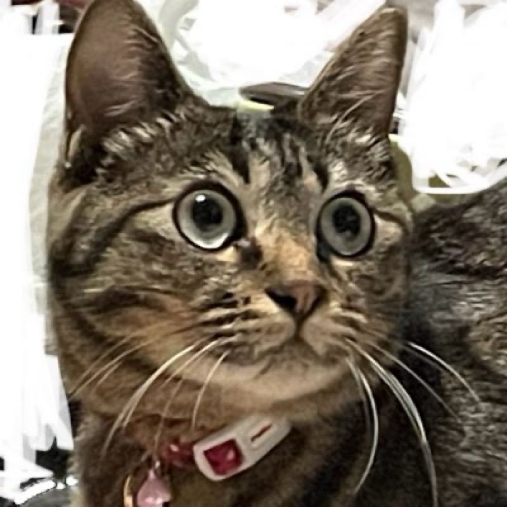あや
