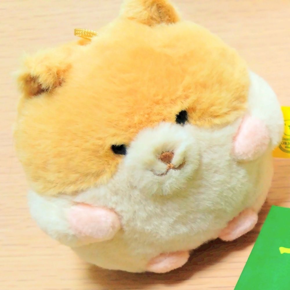はむもち