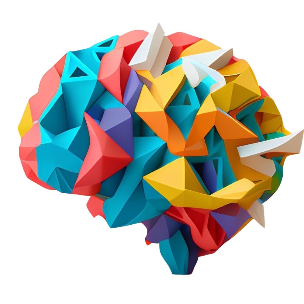 Cognitive Neuroscience Hub