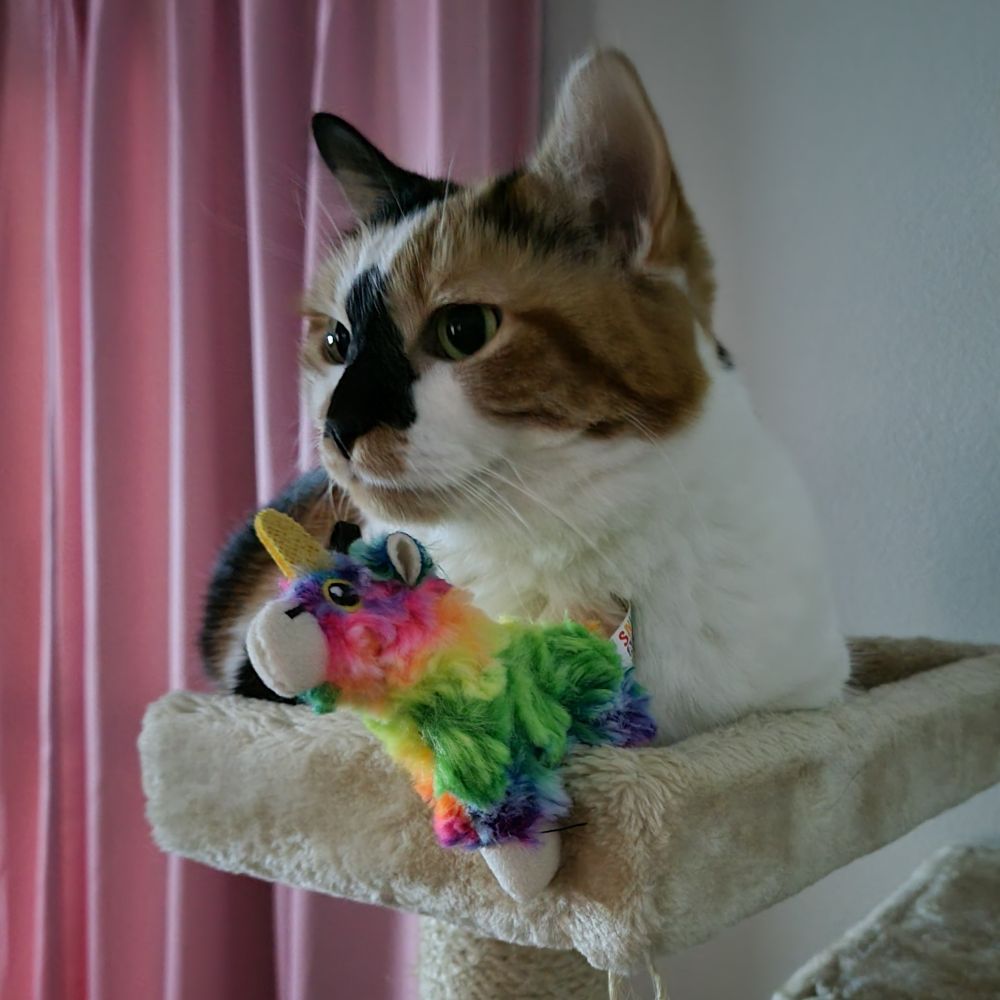 Mad Catter Carla ✌️🩷🥦