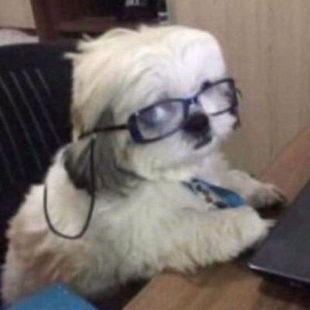 Adoro Cachorrinhos