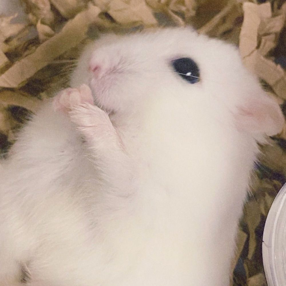 む