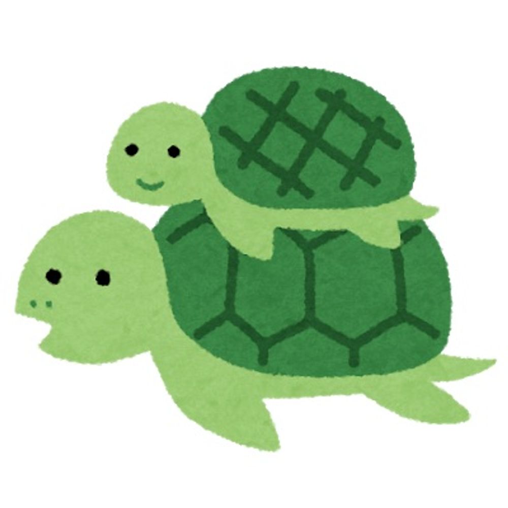 ヌマガメ